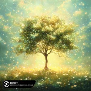 人野兽马狗猪最新视频
