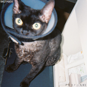 人野兽马狗猪最新视频
