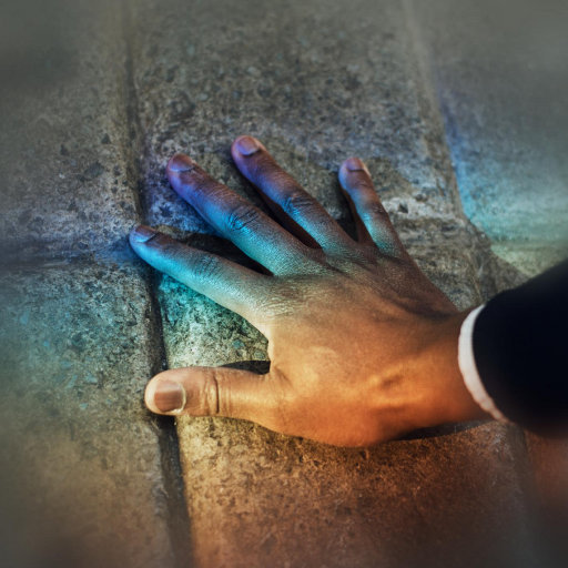 人野兽马狗猪最新视频
